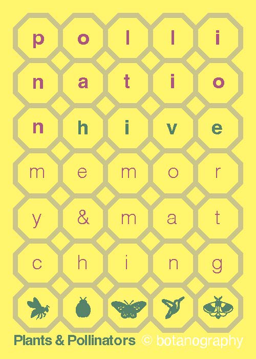 HIVE 3-5 POLLINATION 3_18_2025_Page_01 (1)